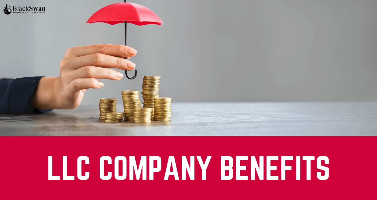 Benefits of LLC Company in UAE