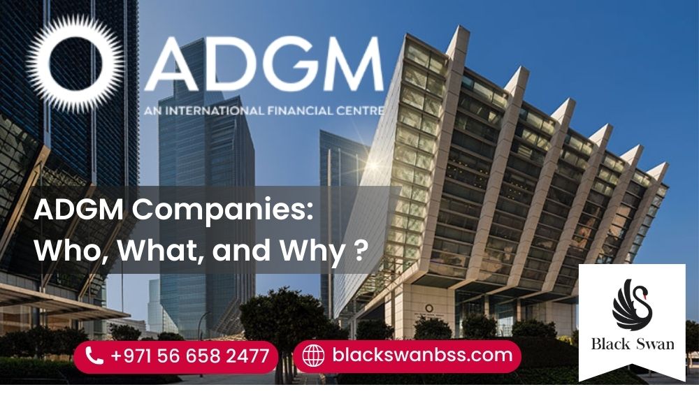 ADGM Companies: Who, What, and Why?