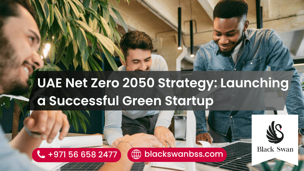 UAE Net Zero 2050 Strategy: Launching a Successful Green Startup