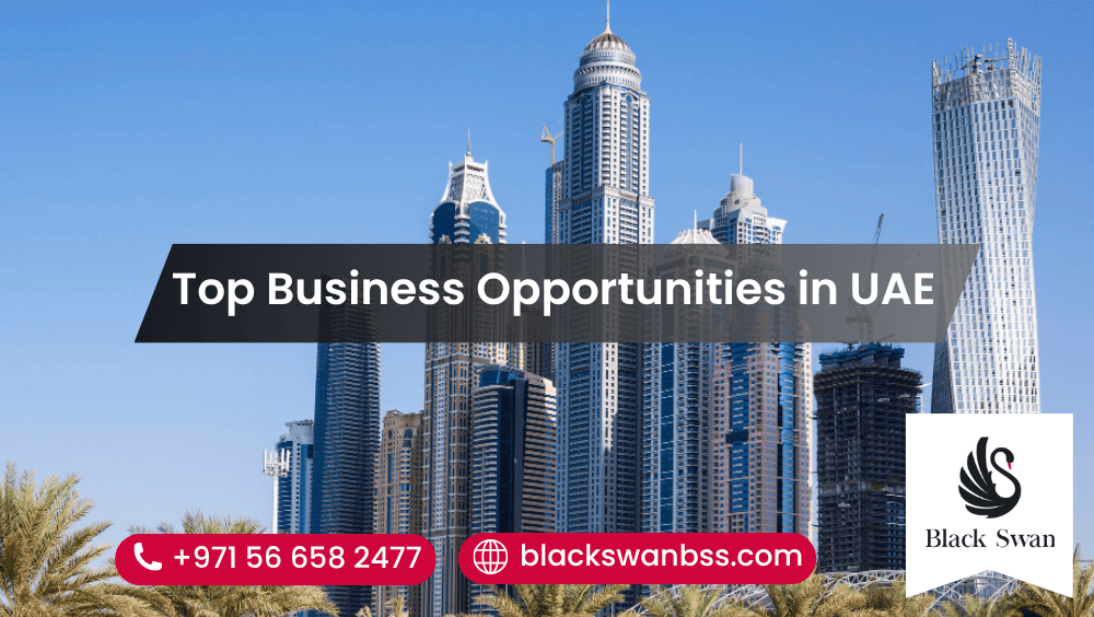 Top Business Opportunities in UAE