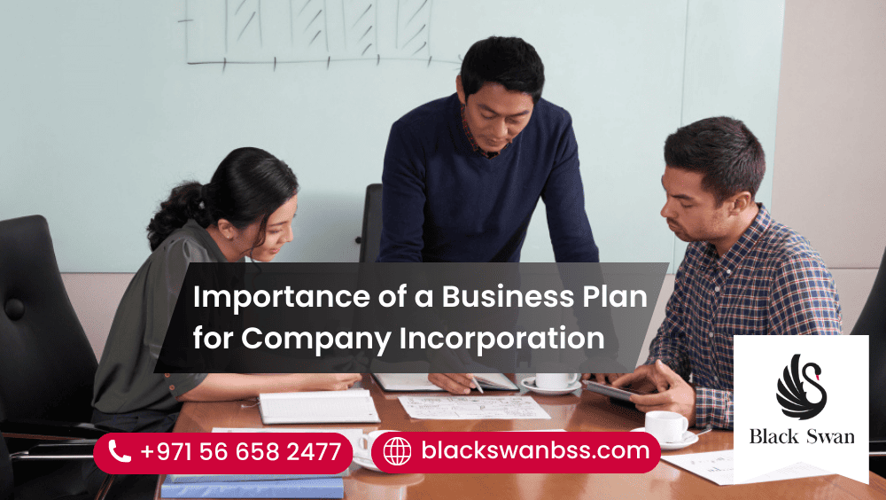 Importance of a Business Plan for Company Incorporation