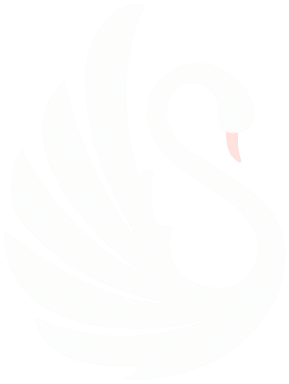 Black Swan Business Setup Services